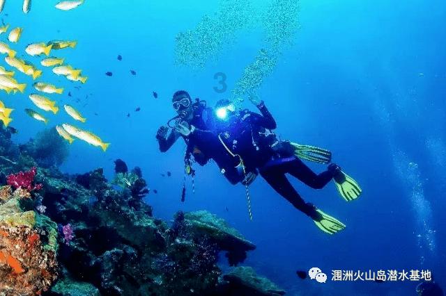 贪吃鼠吃豆豆