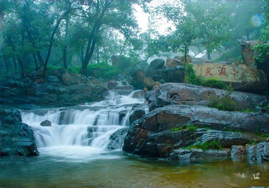 有线耳机还能买?竹林鸟惊鸿,原始质感与高清音质的完美结合